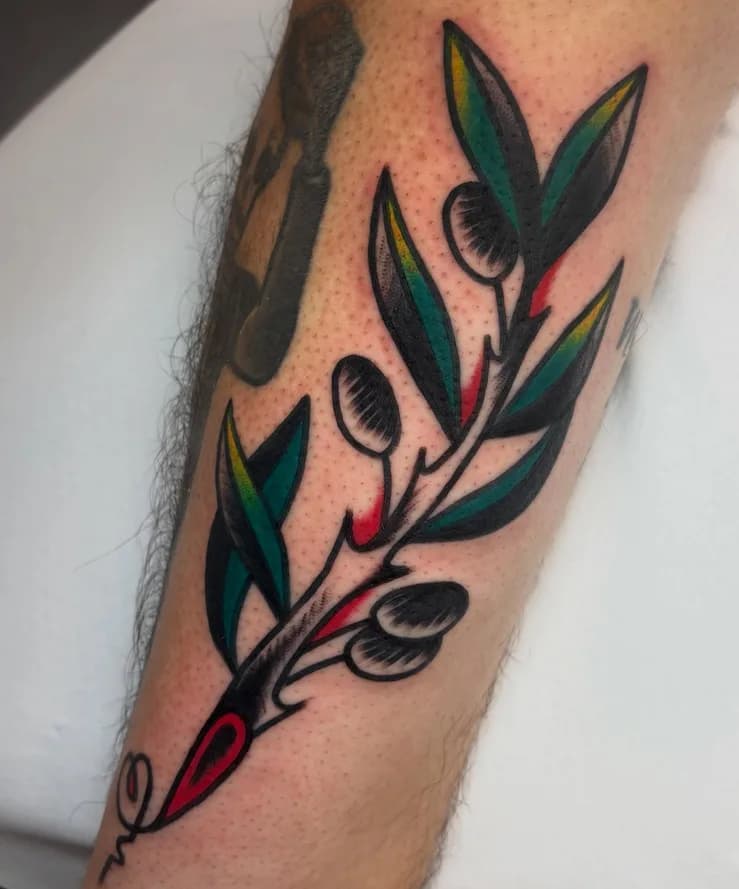 Traditional colorful olive branch tattoo, on the forearm