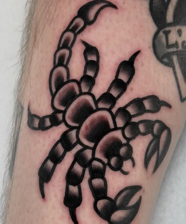 Black traditional scorpion tattoo, on the forearm
